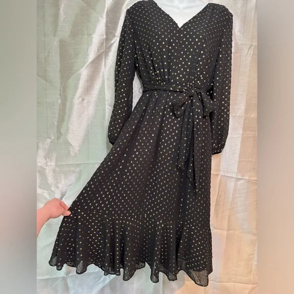 J. Crew dress - Picture 11 of 12